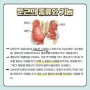 리라이프필라테스 - 계양구 계양문화로 90 | 리라이프필라테스