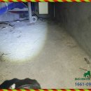119방역공사