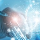 몽드로쉐 이미지