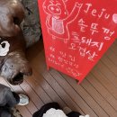 오동동189 이미지