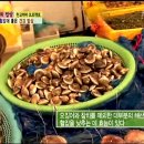 쉐프의밥상 이미지