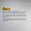 (12/16) 초등_클레이무드등 | 여수 예울마루 아이의 상상력이 피어나는 시간, 어린이 미술전 우리 SUM 타볼래? 관람 후기