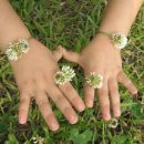 (유)하이얀 이미지