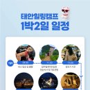 태안힐링캠프