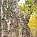 송담3로 이미지