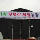 서희농장 네이버블로그