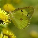 유행가노래연습장 이미지