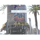 비봉호스릴-5 | 골드코스트 무비월드 놀이기구 어트래션 롤러코스터 후기