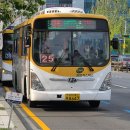 죽전야외음악당 이미지