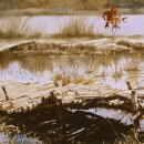 풍경수채화 이미지