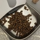 커몽도그 이미지