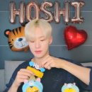 옐로우호시