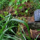 김주용농장 이미지