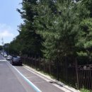 성북구견인차량보관소 이미지