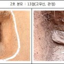 537 이미지