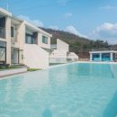 퍼스펫 애견펜션 이미지