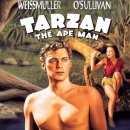 유인원 타잔 (Tarzan The Ape Man, 1932년) 자니 와이즈뮬러의 첫 타잔 이미지