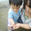 홍성표농장 Daum카페