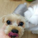 다복케어