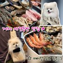 거제애견 | 거제 매미성 애견동반 맛집 내돈내산 더꽃 솔직후기
