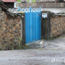 초록숲