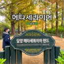 동화 수상작과 떠나는 재미있는 글쓰기 | 전남 담양 가볼만한곳 단풍 명소 메타세콰이어 길 랜드 방문기!