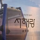 모세휠체어 | 서해 가볼만한곳 서해랑케이블카 타고 꽃구경 물멍 노을까지 완벽코스