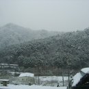 일경 이미지