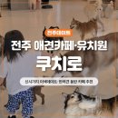 완산애견 | 전주애견카페 반려견 동반 가능한 '쿠치로' 이색데이트 후기