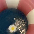 소시담가 이미지