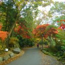 무등산 관리사무소앞 이미지