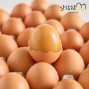 참참식품 쇼핑하우