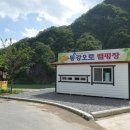 영월 오토캠핑장 계곡이 한눈에 보이는 곳!
