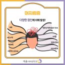 맑은하루이비인후과의원 이미지