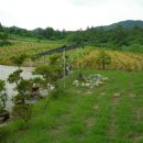 보광농원 이미지