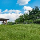 평화마루 이미지