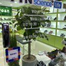 슈올즈 연신내점 이미지