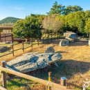 읍리 지석묘 이미지