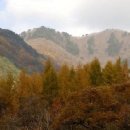 신덕중학교 이미지