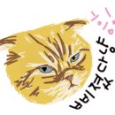 난니꼬양 이미지