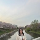 (주)멕시칼리 이미지