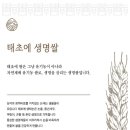 태초식품