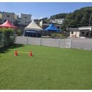 딩동댕애견스파풀빌라 | 가평애견풀빌라 강아지와 함께하는 여행 딩동댕 애견 스파 풀빌라 후기