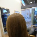 SALON DE Y(살롱드와이) 이미지