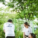 당산초교 이미지