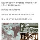 [일반] 쌀은 힘의 근원, 딥스의 세뇌 쌀 먹지막라 이미지