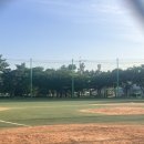 을숙도 리틀야구장 이미지