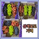 송산퇴비 네이버블로그