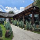 덕진-25 | [전주] 족보설렁탕 후기 | 아이와 함께 가기 좋은 덕진공원 근처 찐 현지인 맛집