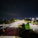24년 대전시 유성국화축제 유림공원 무려주차정보 답사후기 가족연인여행